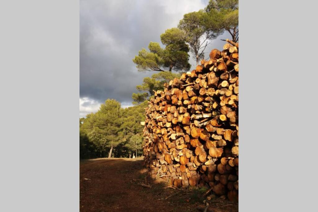 Bastide Au Milieu Des Vignes Et Des Oliviers Aups别墅 外观 照片